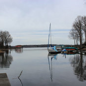 Lisa Overman's photo