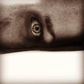 Photo de Megan Morris
