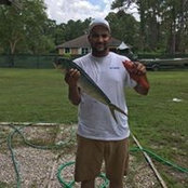 Joshua Franks's photo