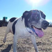 Steve Carlstrom's photo