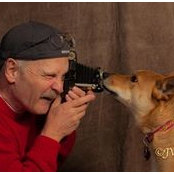 John Van Stelten's photo