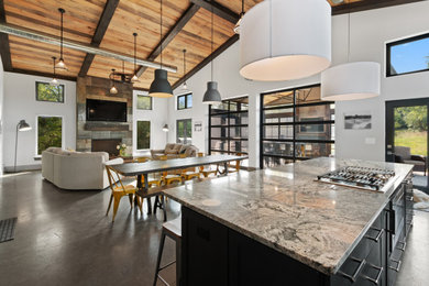 Example of a large urban open concept concrete floor, brown floor and vaulted ceiling living room design in Milwaukee with white walls, a standard fireplace and a media wall