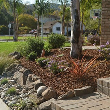 flowerbeds
