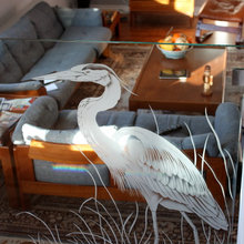 Living Room Ideas