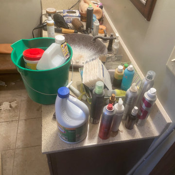 Extreme Deep Cleaning