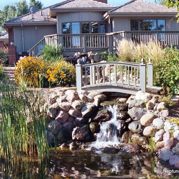 Koi Ponds and Water Gardens