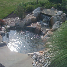pond