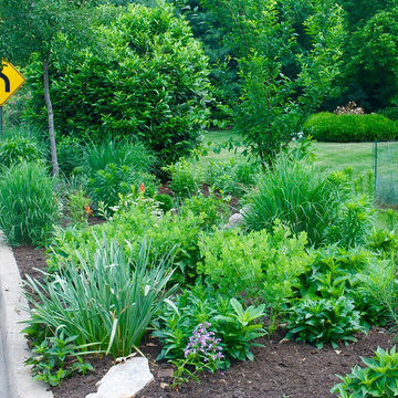 Side Yard Garden Design & Build