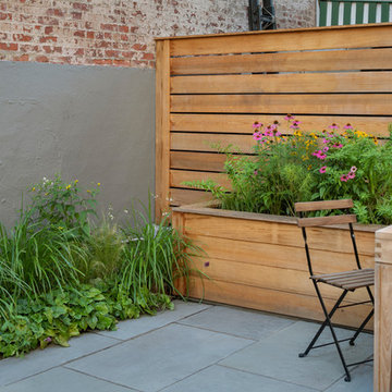 Carroll Gardens Backyard