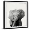 "King of the Elephants" Framed Painting Print, 24"x24"