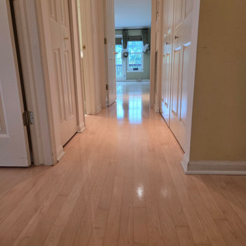 Bona Traffic Matte Maple Refinishing – Chicago Old Town