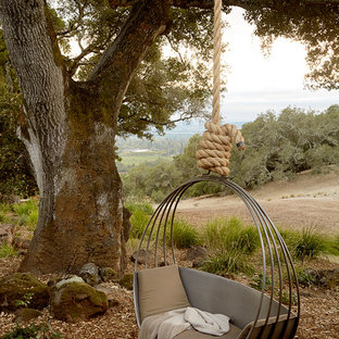 サンフランシスコの地中海スタイルのおしゃれな庭 (半日向、マルチング舗装) の写真