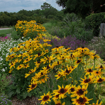 Annual Color Beds
