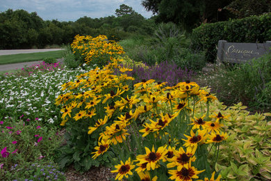 Inspiration for a coastal landscaping in Charleston.