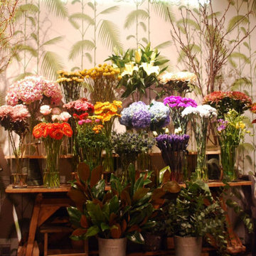 Proyecto de iluminación de una tienda, Floristería Muguet