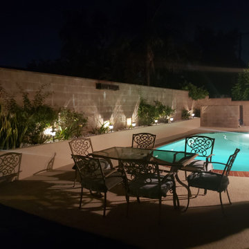 Backyard clean up and remodel