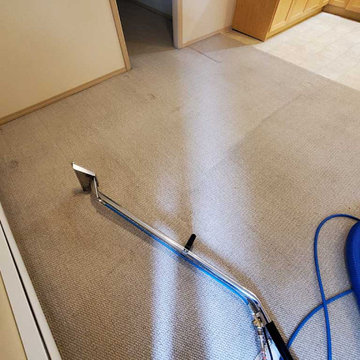 Move-out Carpet Steam Cleaning Service of Basment Suite in Coquitlam BC Canada