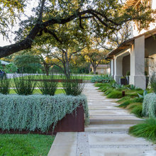 Plants/landscape ideas.