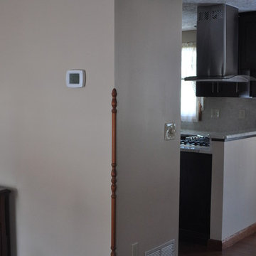 Kitchen Remodel, Mentor 2014