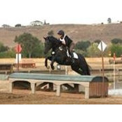 Lee Ramensky's photo