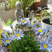 Birgit Ke's photo