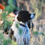 Kimberli Manley's photo