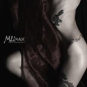 Michael Laughlin's photo