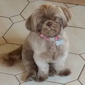 Penny Kupersmith-Balducci's photo