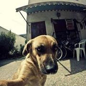 Trish Tazuk's photo