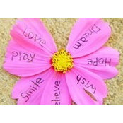 Cindy Kralis's photo