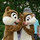 webuser_8629565