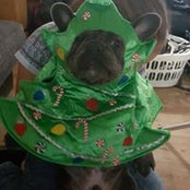 Foto von Hannah Hurton