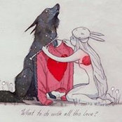 Samantha Ehrman's photo