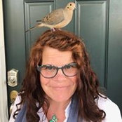 Foto von Jodi Pope Johnson
