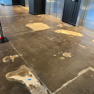 NPS 20,000 sqft Concrete Floor Restoration