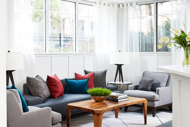 Living room - modern living room idea in DC Metro
