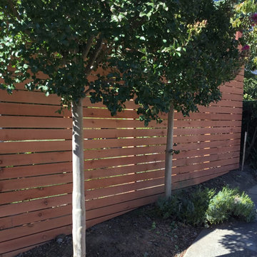 Beryl Lane Horizontal Fence