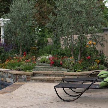 Pleasanton Pool,spa, cook center pond & patios