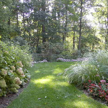 Lush Greenery
