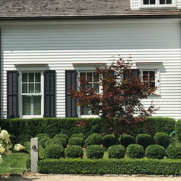 Foundation Planting