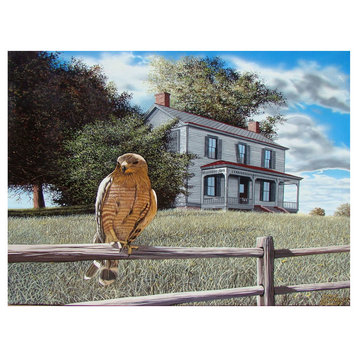 Mike Bennett Guardian of the House - Cooper's Hawk Art Print, 9"x12"