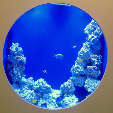 250 gallon Saltwater - Retirement Community Aquarium