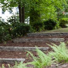 Banks Garden