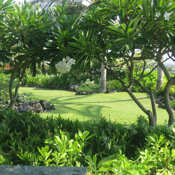 Tropical landscapes