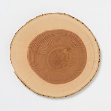Andres Sanin's Ideas