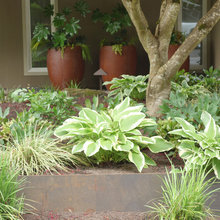 Front Landscape