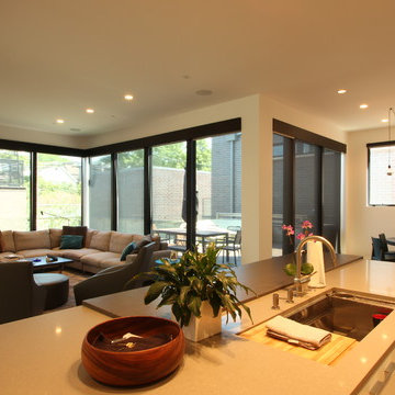Chicago Bucktown Modern Masterpiece