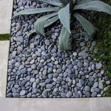 Miami Beach Residence