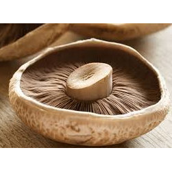 Mushrooms for sale - Kitchen Products