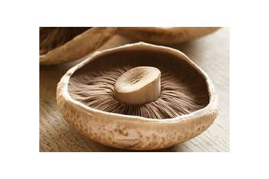 Mushrooms for sale